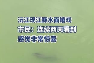 江南体育官方入口网站首页截图4